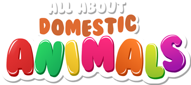 All About Domestic Animals